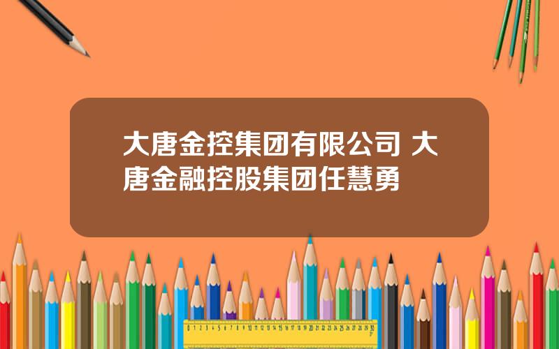 大唐金控集团有限公司 大唐金融控股集团任慧勇